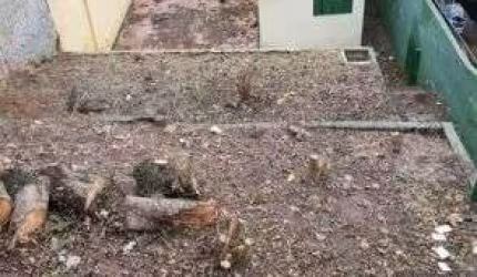Terreno à venda, 460 m² por R$ 490.000,00 - Vila Baeta Neves - São Bernardo do Campo/SP