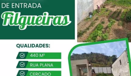 Terreno à venda, 440 m² por R$ 25.000 de entrada - Filgueiras - Juiz de Fora/MG