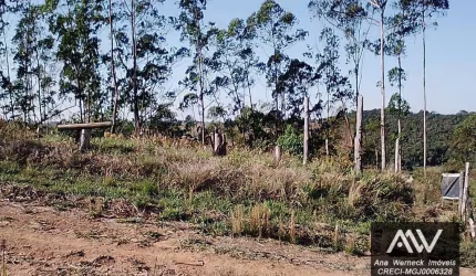 Área à venda, 1000 m² por R$ 60.000,00 - Coronel Pacheco - Coronel Pacheco/MG