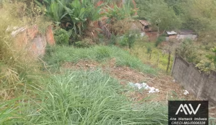 Terreno à venda, 200 m² por R$ 50.000,00 - Teixeiras - Juiz de Fora/MG
