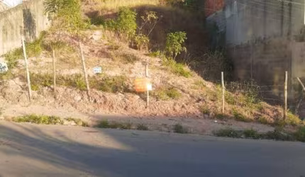 Terreno à venda, 590 m² por R$ 160.000,00 - Nova Benfica - Juiz de Fora/MG