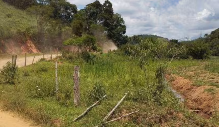 Terreno à venda, 2400 m² por R$ 65.000 - Palmital - Juiz de Fora/MG