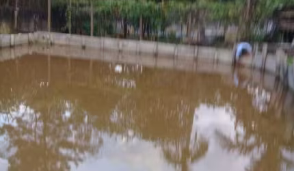 Sítio para Venda em Suzano, Jardim Nova América, 6 dormitórios, 3 banheiros, 10 vagas