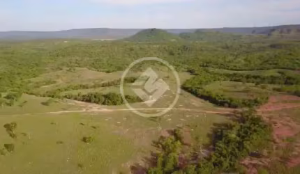 Fazenda na Zona Rural da cidade de Caiaponia-GO. codigo: 63945