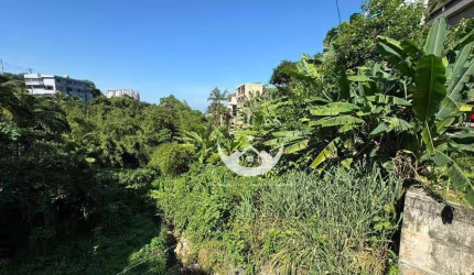 Terreno à venda, 802 m² por R$ 2.000.000,00 - Morro Santa Terezinha - Santos/SP