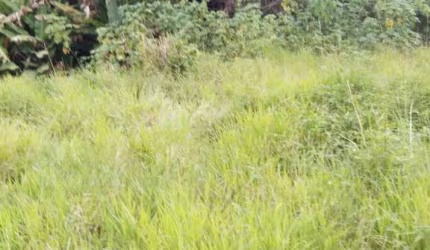 TERRENO em Jardim Marcelo   -  Itaquaquecetuba
