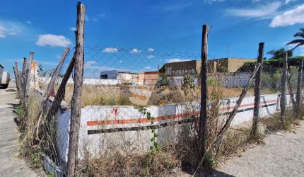 Terreno - Comercial em Vila Maria de Maggi  -  Suzano