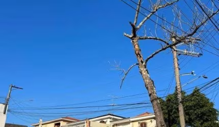 TERRENO - VILA SÃO FRANCISCO - SP