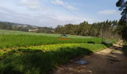 Terreno à venda na RUA BENEDITO MESSIAS DOS SANTOS NETO, 100, da Capelinha, Cotia por R$ 1.300.000
