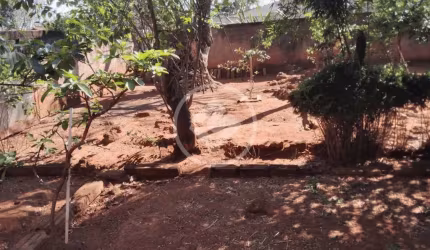 Lote - Setor Faiçalville codigo: 32442
