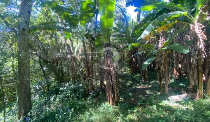 TERRENO PERTO DE TUDO NO PANTANAL