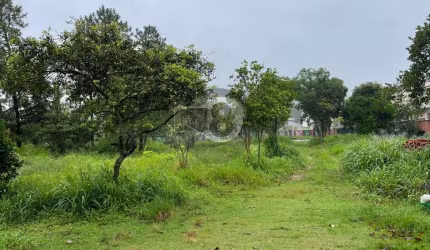 Área no Campeche com 4.122,84