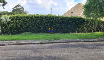 Terreno à venda em Curitiba, Bigorrilho, com 729 m²