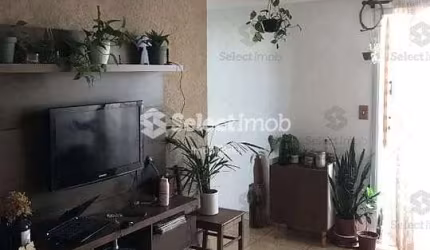 Apartamento à venda, Parque São Vicente, Mauá, SP