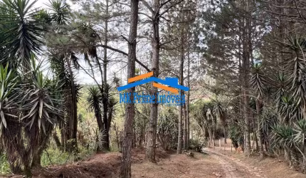 Km 36 Rap. Tavares - Área para Incorporação ou Chácara 18.455m²