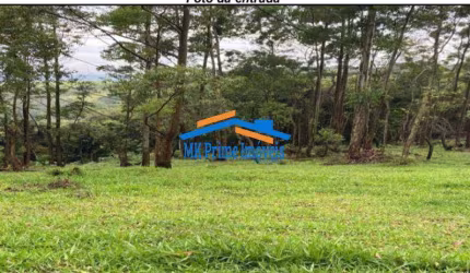 Área - 295.781,75 M2 - Santana do Parnaíba