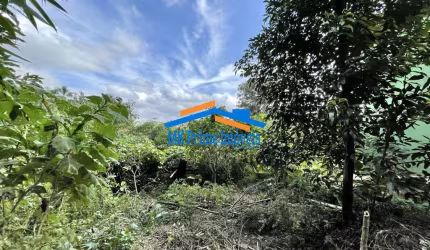 Lote 907,00 m² - Bolsão FECHADO no Miolo da Granja Viana!