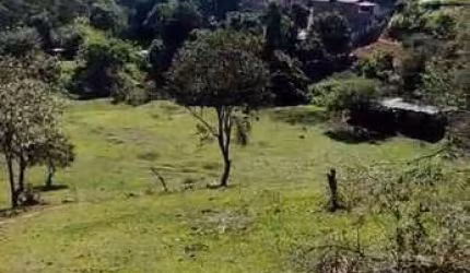 Terreno 5.000m² Plano, Zoneamento ZRMD-1 para venda Santana de Parnaíba/SP