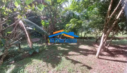 Chácara à venda bairro da Capelinha, em Caucaia do Alto - Cotia/SP
