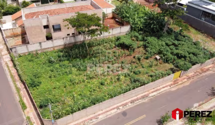 Dois Terrenos na Vila Margarida