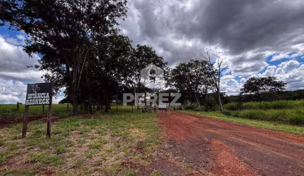 Área no Conjunto José Abrão