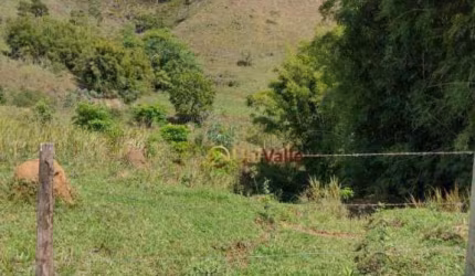 Terreno à venda, 24200 m² por R$ 250.000,00 - Borba - Pindamonhangaba/SP