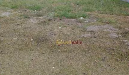 Terreno à venda, 250 m² por R$ 277.000,00 - Bairro dos Guedes - Tremembé/SP