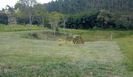 Terreno à venda, 3166 m² por R$ 103.500,00 - Bairrinha Varginha - Natividade da Serra/SP