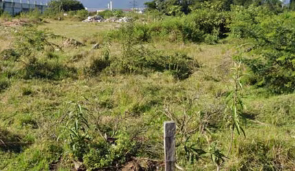 Terreno para Galpões Logísticos