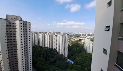 Locação Pitangueira II - Taboão da serra - SP