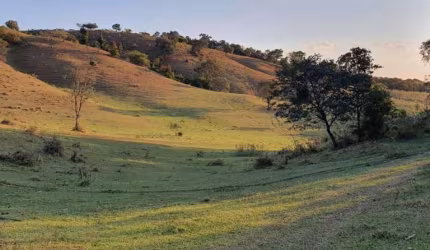 Área em Aparecidinha com 200mil m²