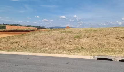 ? Oportunidade única!