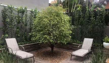 Casa com 2 dormitórios, 260 m² - Alphaville 01 - Barueri/SP