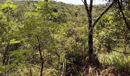 Terreno à venda, 77346 m² por R$ 5.800.950,00 - São Sebastião das Águas Claras - Nova Lima/MG