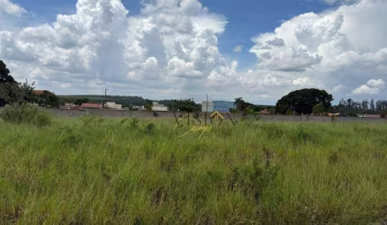 Terreno à venda, 478 m² por R$ 382.200,00 - Loteamento Alphaville Campinas - Campinas/SP