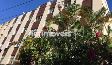 Venda Apartamento 3 quartos Engenho Velho de Brotas Salvador
