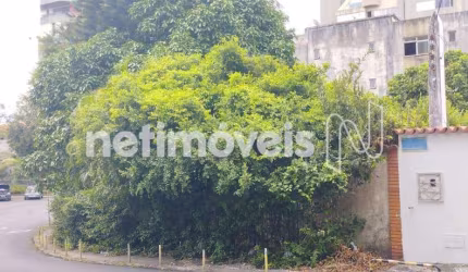 Venda Lote-Área-Terreno Jardim Apipema Salvador