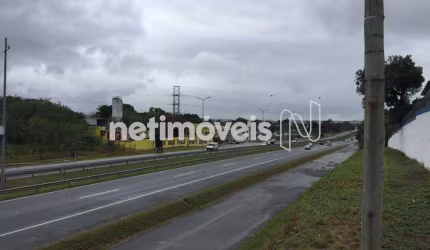 Locação Lote-Área-Terreno Santa Luzia São Gonçalo