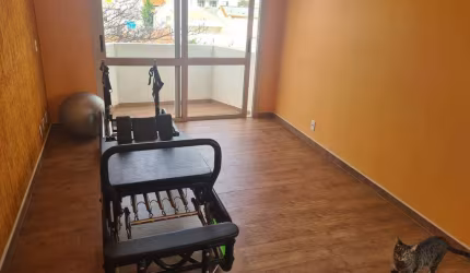 Apartamento à venda, com 3 dormitorios, localizado no Cambuci, São Paulo, SP