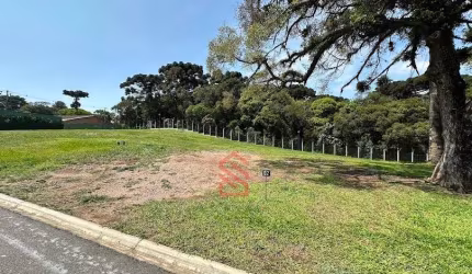 Terreno condomínio à venda  Curitiba Paradiso