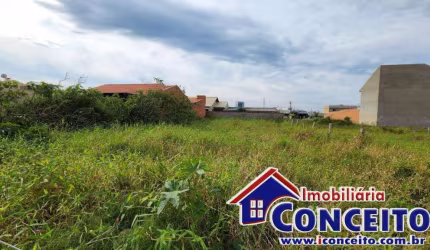T1011 - Excelente terreno medindo 390m² no Centro