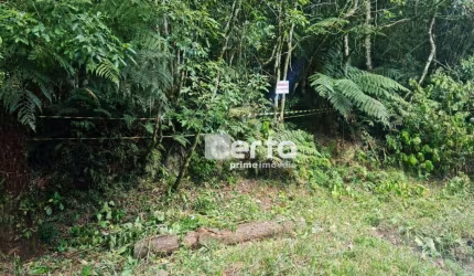 Terreno à venda, 682 m² - Colinas de São Francisco - São Francisco de Paula/RS