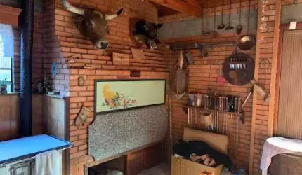 Casa com 3 dormitórios à venda - Salto - São Francisco de Paula/RS