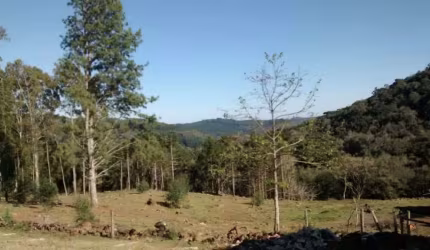 Sítio Rural à venda, Caracol, Canela - SI0067.