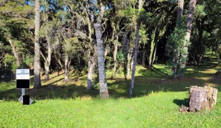 Terreno Residencial à venda, Altos Pinheiros Canela