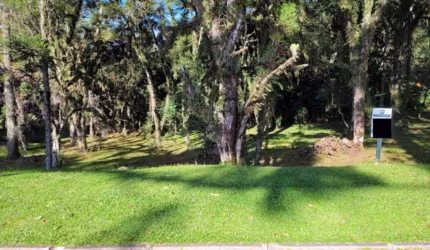 Terreno Residencial à venda, Altos Pinheiros Canela
