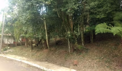 Terreno Residencial à venda, Vila do Cedro, Canela - TE0821.