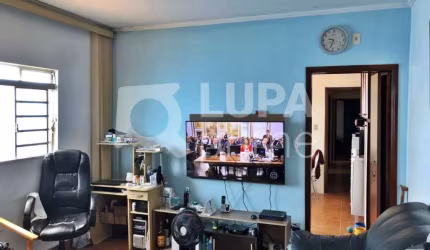CASA TÉRREA COM 3 QUARTOS E 2 VAGAS DE GARAGEM PARA VENDA, VILA MARIA ALTA, SÃO PAULO
