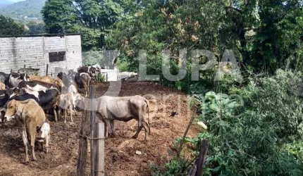 TERRENO RESIDENCIAL COM 1.000M² PARA VENDA, CABUÇU, GUARULHOS