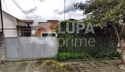 TERRENO RESIDENCIAL COM 350M² PARA VENDA, PARQUE EDU CHAVES, SÃO PAULO